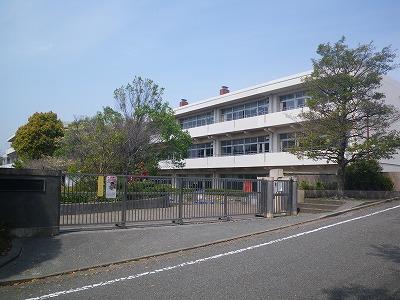 Primary school. It is an elementary school close to 1280m Tama Plaza Station to Yokohama Municipal Shin'ishikawa Elementary School.