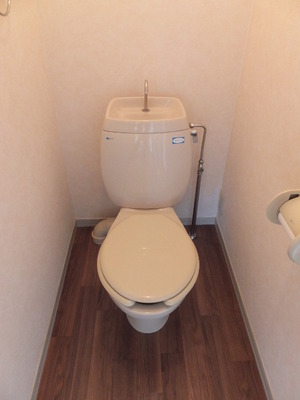 Toilet. Spacious and toilet