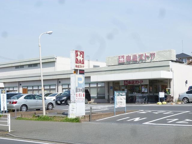 Supermarket. Tokyu Store Chain to (super) 460m