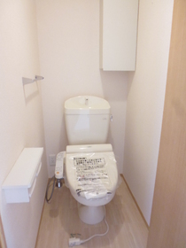 Toilet. Toilet seat is standard equipment with a cleaning function.