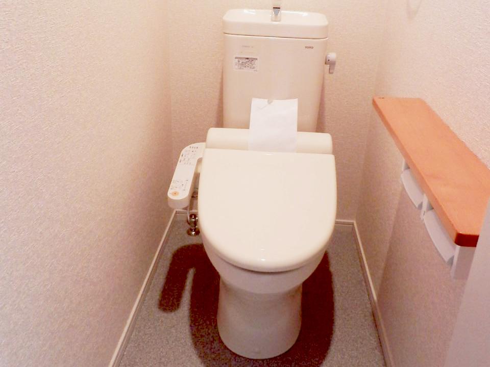 Same specifications photos (Other introspection). Toilet (company specification example)