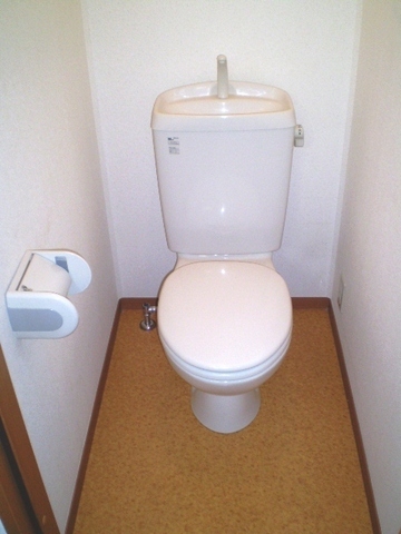 Toilet. Western-style toilet