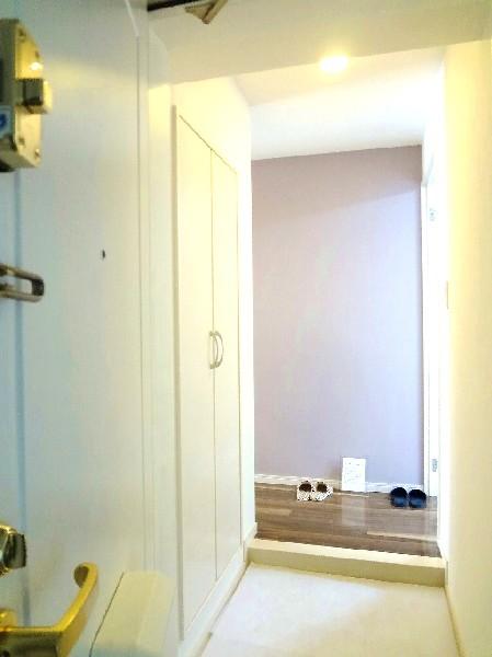 Other introspection. Entrance