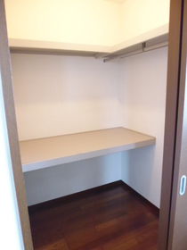 Other Equipment. There walk-in closet with a shelf.