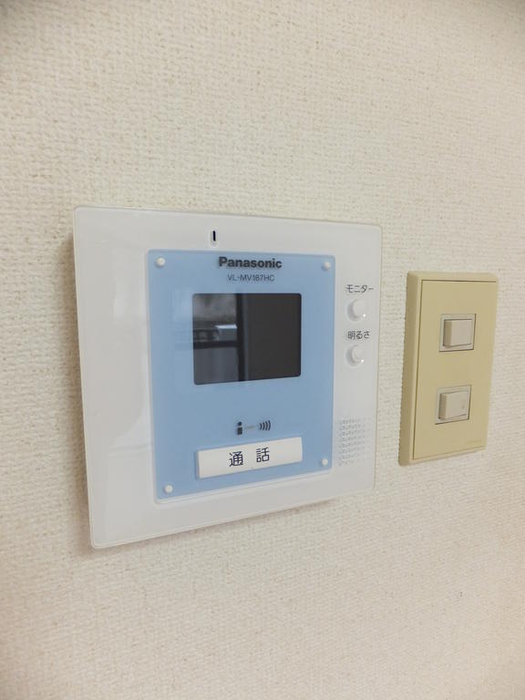 Security. Intercom with TV monitor