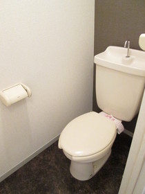 Toilet. It is the toilet of calm interior.