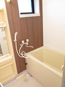 Bath. It is a bathroom interior woodgrain.