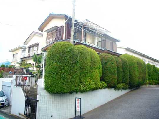 Local appearance photo. Appearance 1