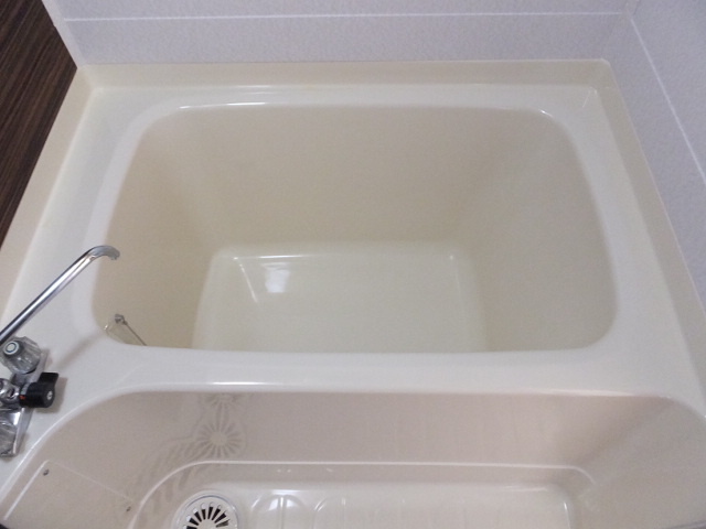Bath. A clean bathtub