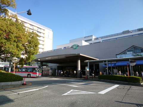 Other. Aobadai Station