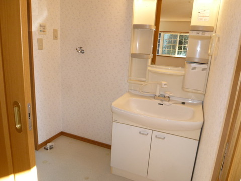 Washroom. Bathroom vanity