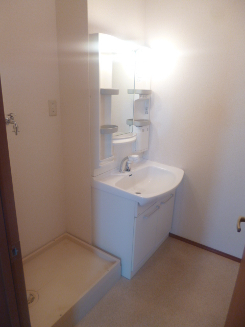 Washroom. Dressing room Shampoo dresser