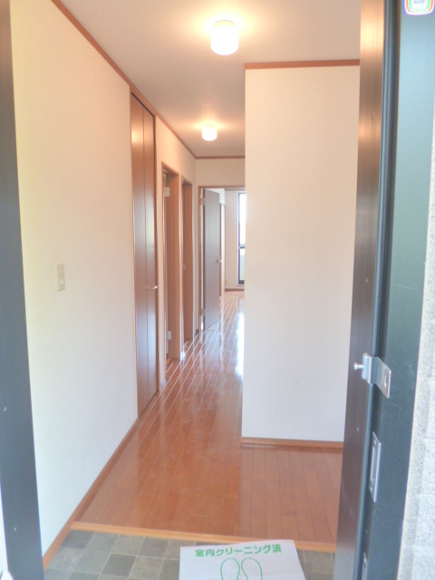 Entrance. From the entrance to the room