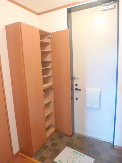 Entrance. Entrance shoe box
