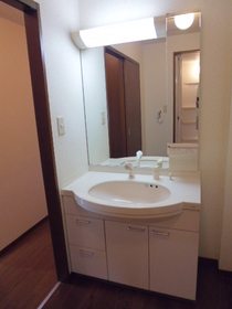 Washroom. Large Vanity mirror