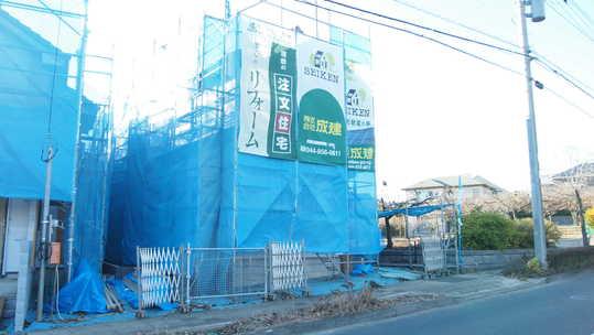 Other local. Local Photos