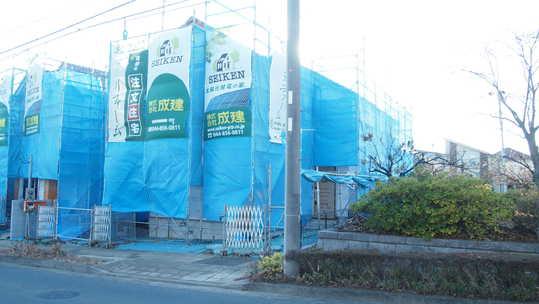 Other local. Local Photos