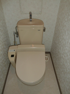 Toilet. The photograph is an image.