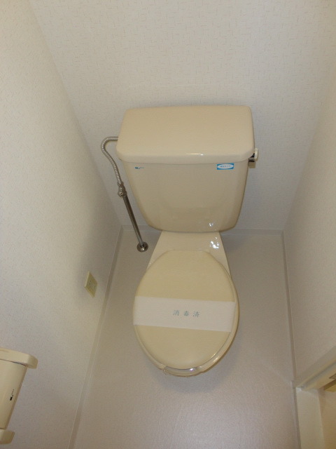 Toilet. Western-style toilet