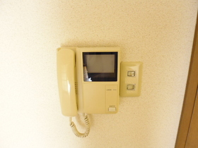 Other Equipment. Because the TV monitor Hong, You can see the visitor.