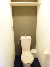 Toilet. Cleaning toilet seat, Mounting is possible.