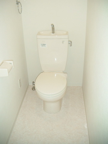 Toilet. Western-style toilet