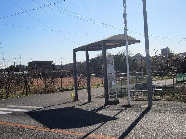 Other Environmental Photo. It is a bus stop in the 30m front to the bus stop.