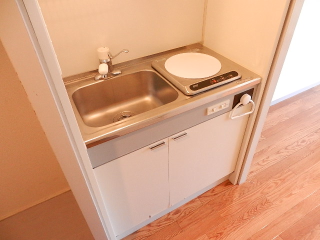 Kitchen. Electrothermal kitchen of peace of mind