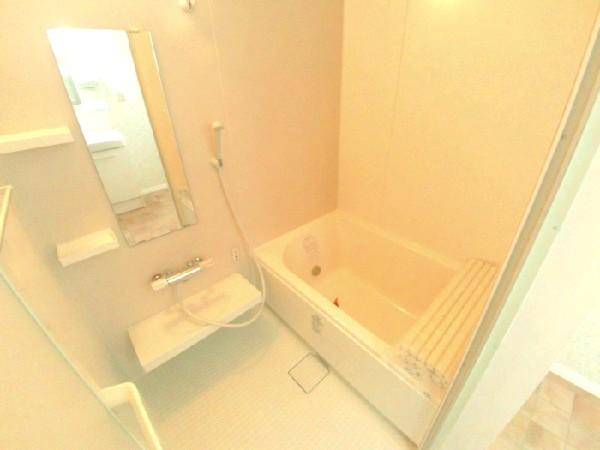 Bathroom. Unit bus new mounting