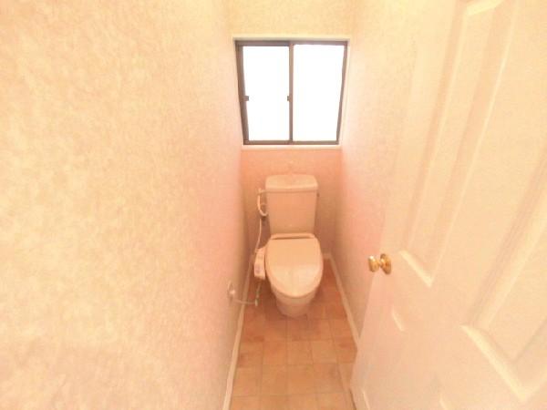 Toilet. Shower toilet