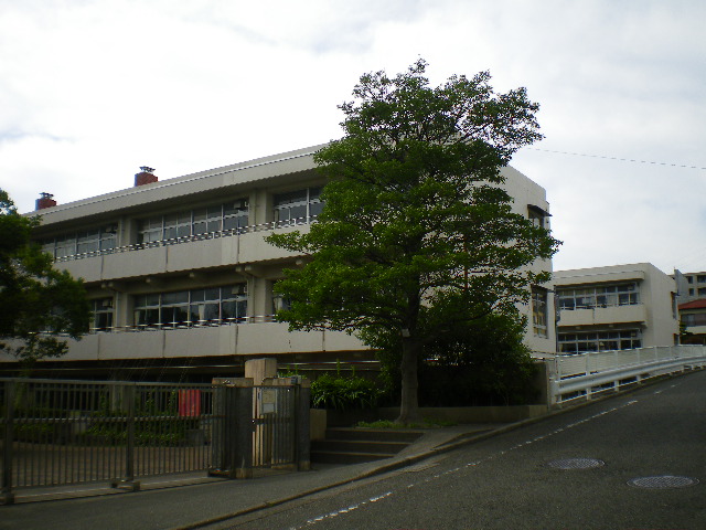 Primary school. Yokohama City Shin'ishikawa up to elementary school (elementary school) 252m