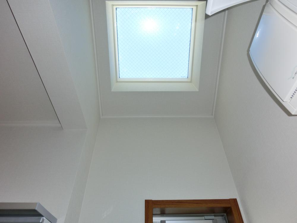 Other. There is a skylight in the basin.