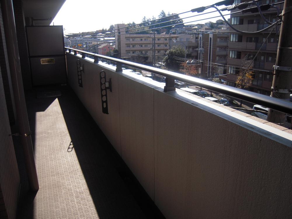 Balcony. It is really the wide balcony