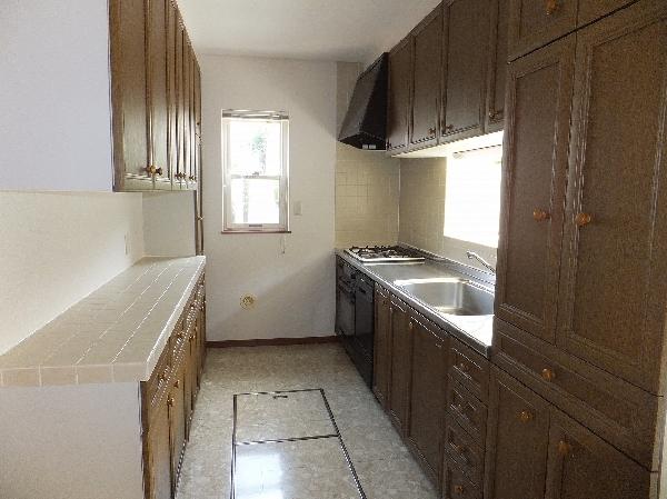Kitchen. Luxurious kitchen.