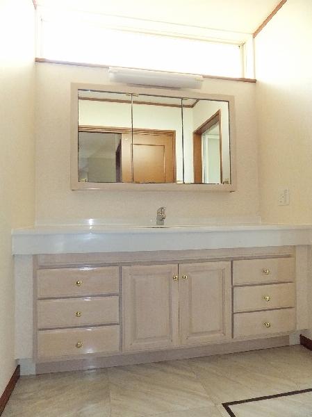 Wash basin, toilet. It is a wash basin with a skylight at the top.