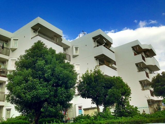 Local appearance photo. appearance