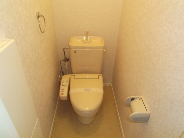 Toilet. Western-style toilet