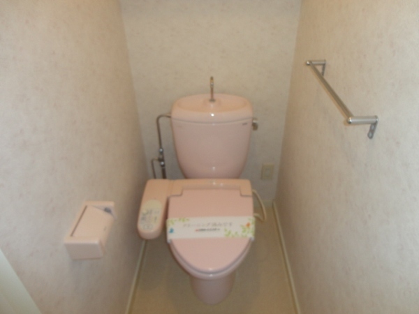 Toilet. Western-style toilet