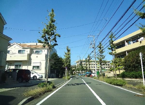 Streets around. 50m to the nearby streets