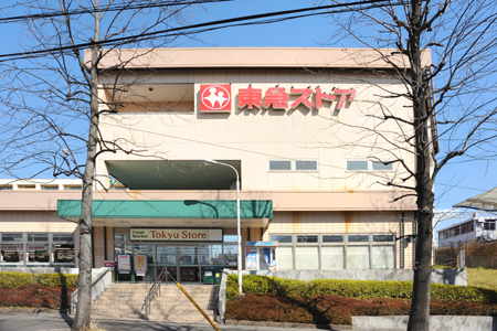 Supermarket. Tokyu Store Chain 180m until the (super)