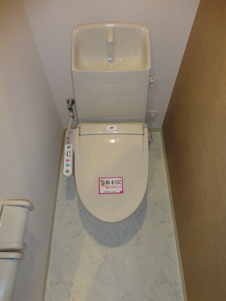 Toilet. Bidet with a Western-style toilet