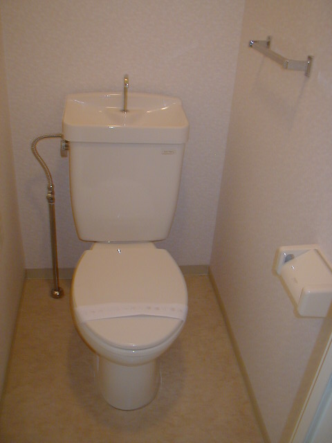 Toilet. Reference photograph