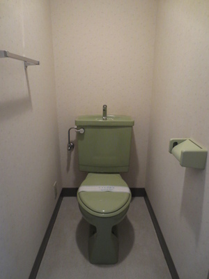 Toilet