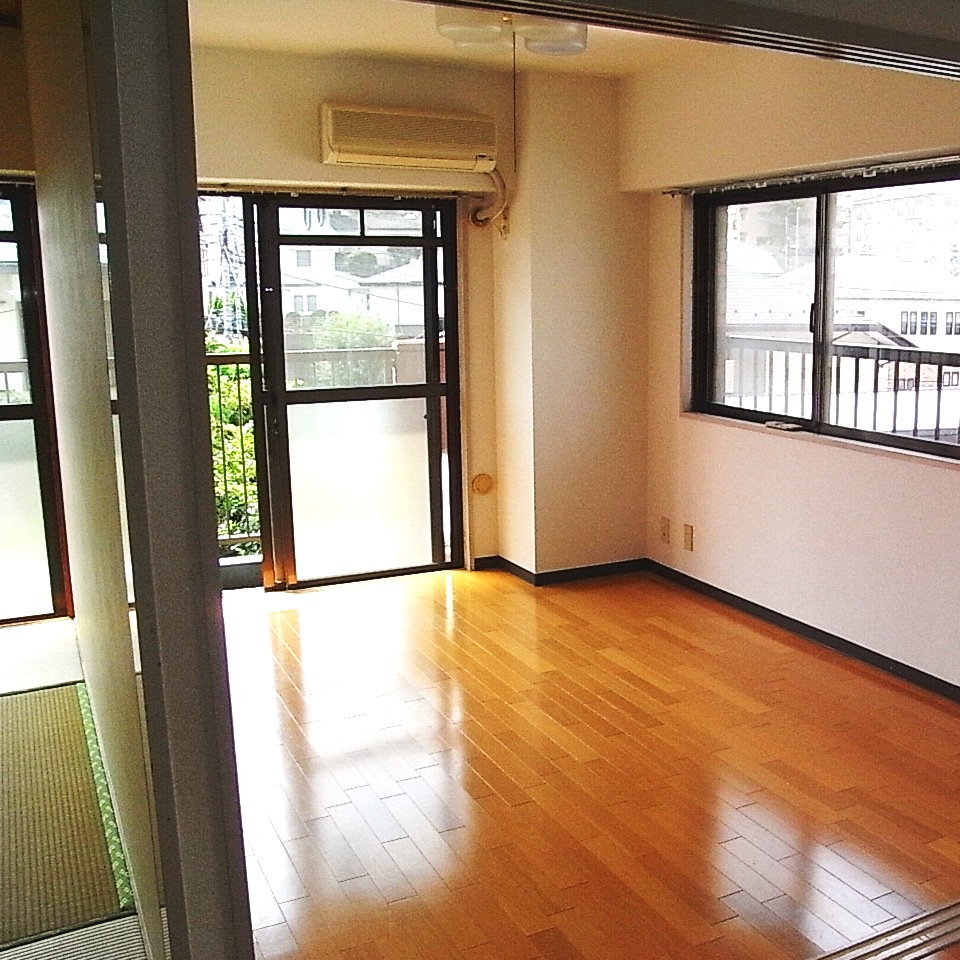 Living and room. Flooring, Two-sided lighting