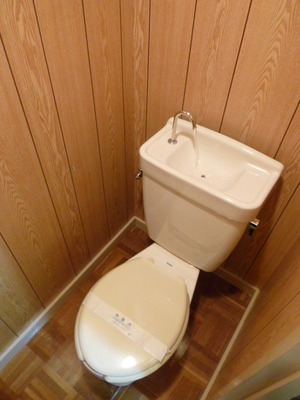 Toilet. The photograph is an image.