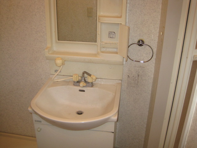 Washroom. Washbasin with shower