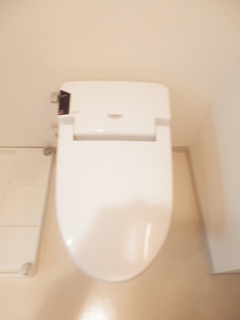 Toilet. It is a reference image of another room of the same type