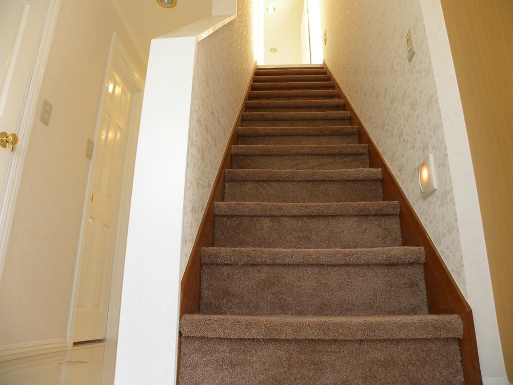 Other introspection. Stairs subjected to the silencing effect