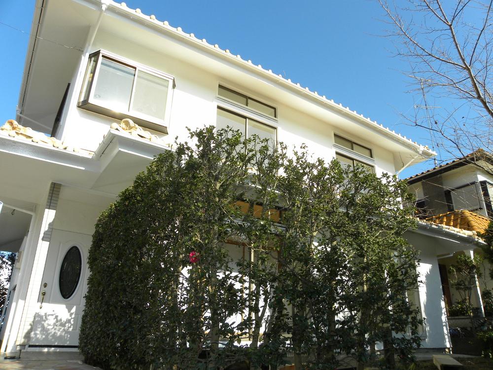 Local appearance photo. Good per sun in south-facing. 