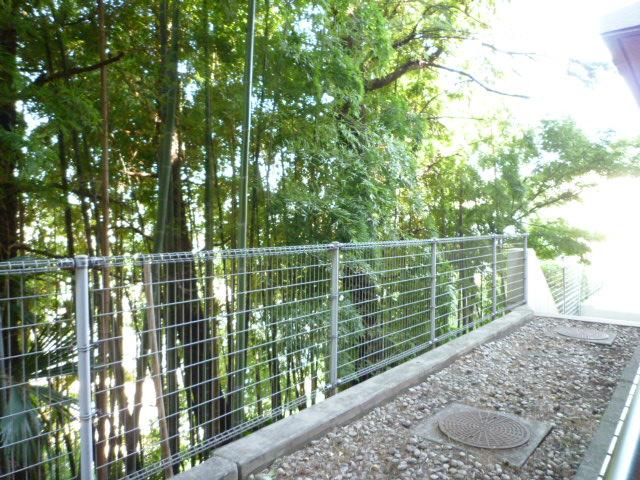 Other. Balcony surface does not have even that passers-by the eyes of you came in sunshine-friendly from the bamboo forest is a concern
